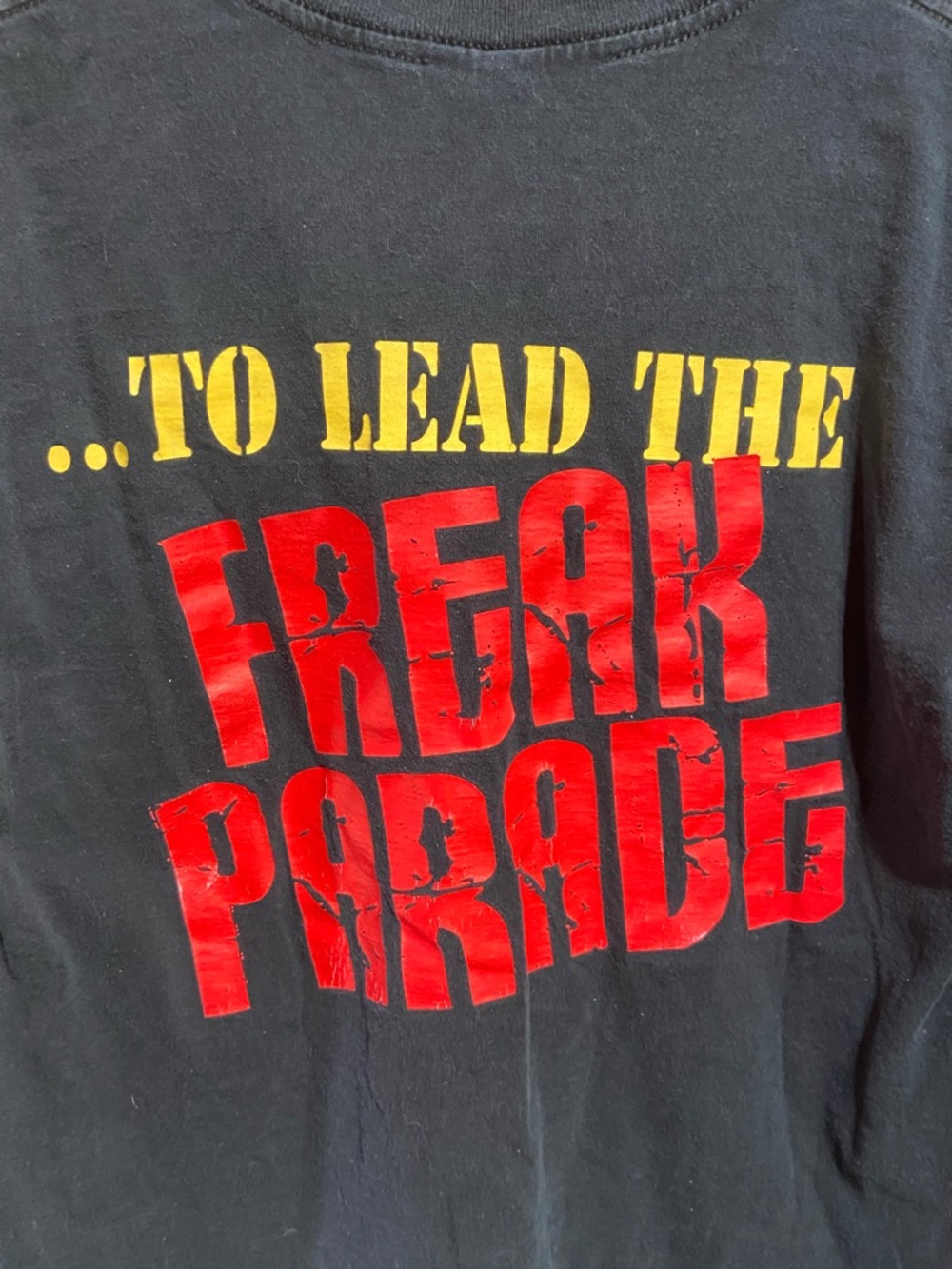 Big And Rich Don't Be Afraid Concert Tee - Picture 3 of 5